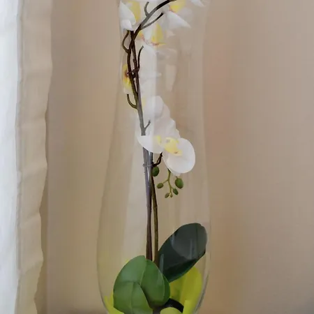 Appartamento We - Corso Saba House *