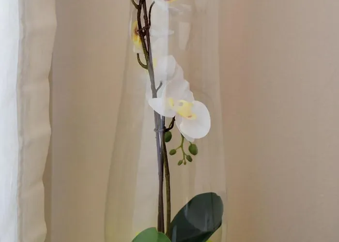 Apartment We - Corso Saba House *